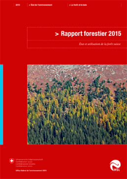 Cover Rapport forestier 2015
