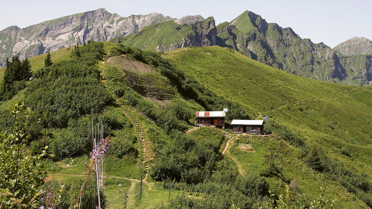 Fangstation auf dem Col de Bretolet.