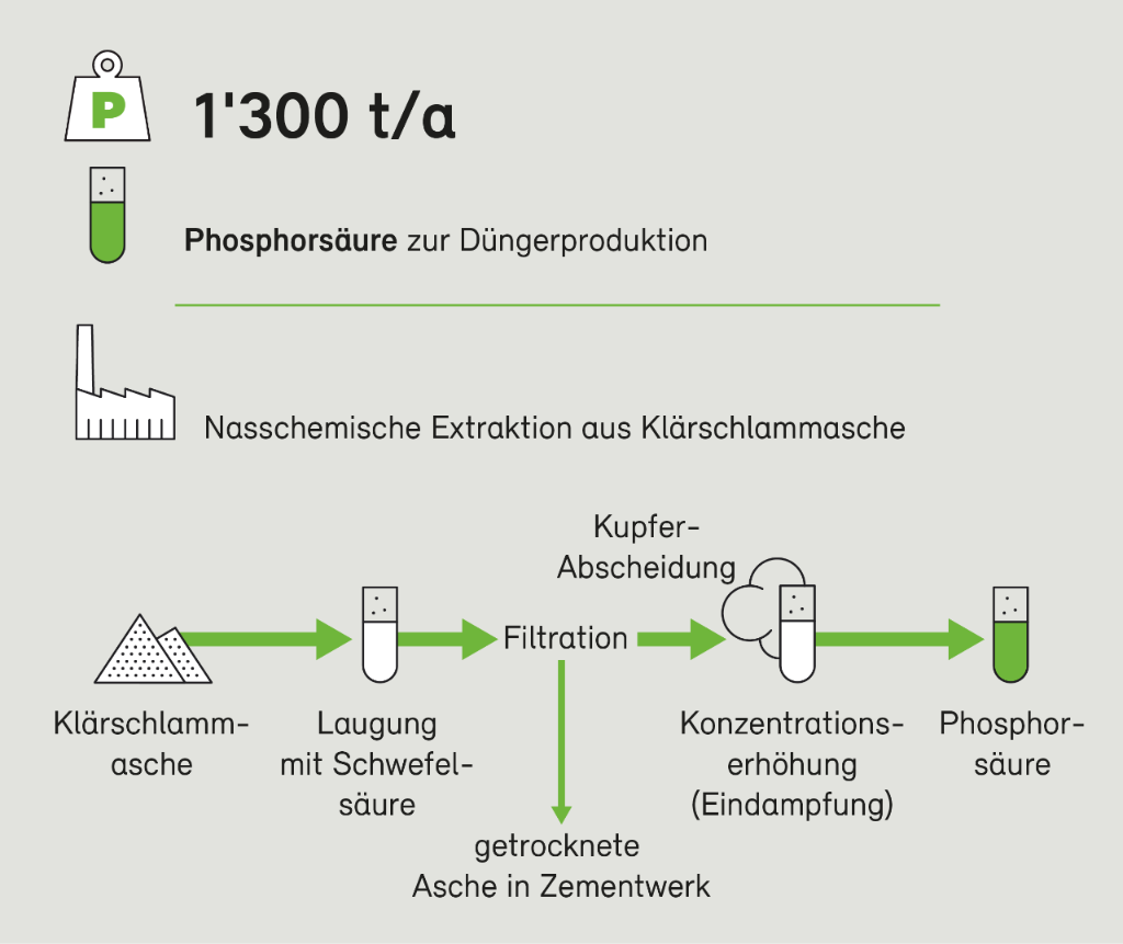 BAFU_PhosWeb_Phosphor26_de
