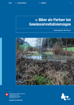 Cover Biber als Partner bei Gewässerrevitalisierungen