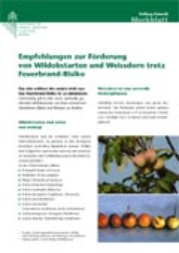 Cover Empfehlungen zur Förderung von Wildobstarten und Weissdorn trotz Feuerbrand-Risiko. 2004. 4 S.