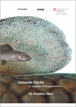 Cover Gesunde Fische in unseren Fliessgewässern: 10-Punkte-Plan. 2007. 24 S.