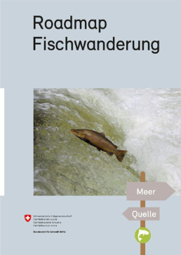 cover-roadmap-fischwanderung-d.JPG