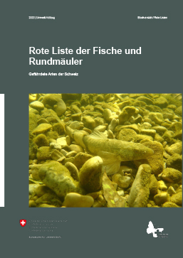 Cover Rote Liste der gefährdeten Arten der Schweiz: Fische und Rundmäuler. Ausgabe 2007. 64 S.
