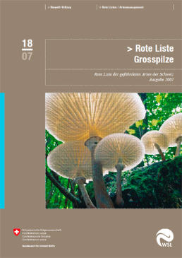 Cover Rote Liste der gefährdeten Arten der Schweiz: Grosspilze. Ausgabe 2007. 92 S.