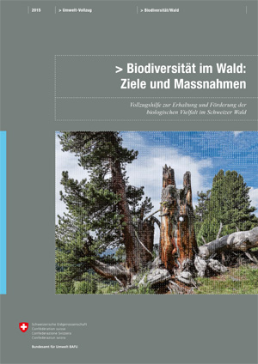 Cover Biodiversität im Wald: Ziele und Massnahmen