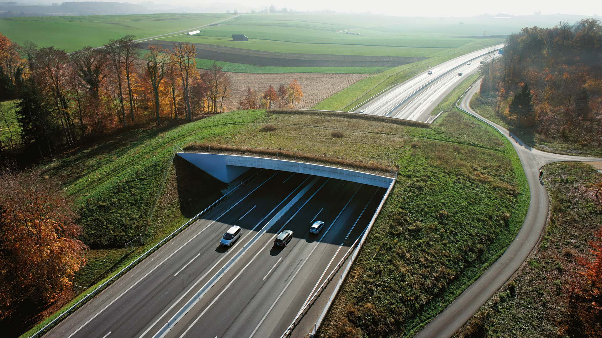 Wildtierbrücke