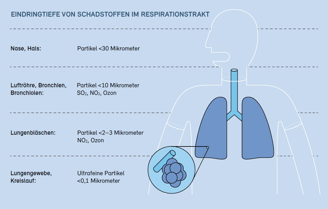 Eindringtiefe von Schadstoffen in den Respirationstrakt