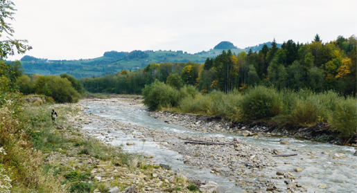 Die Sense bei Plaffeien (FR). Eine naturnahe Flusslandschaft mit Referenzcharakter für Revitalisierungen.