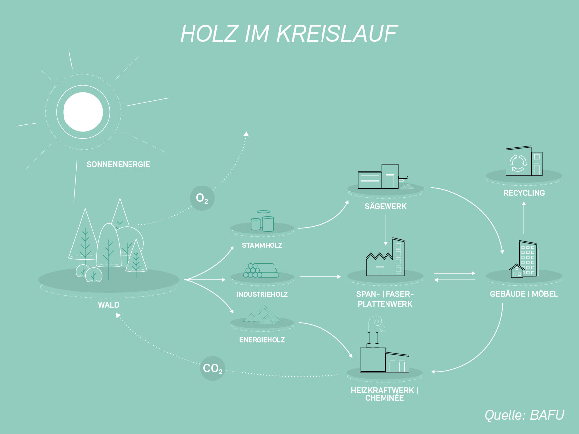 Infografik «Holz im Kreislauf»