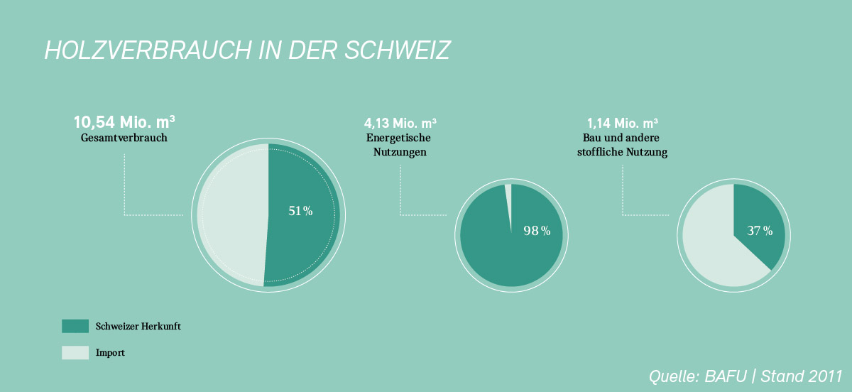 Infografik «Holzverbrauch in der Schweiz»