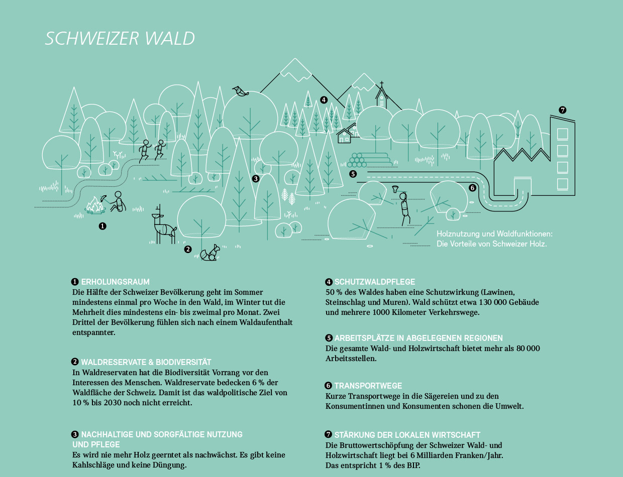 Infografik «Schweizer Wald»