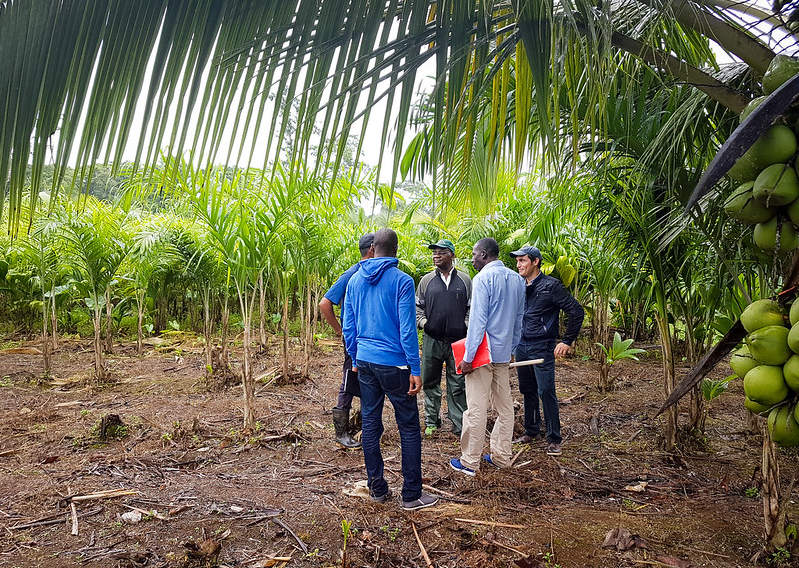 REDD+  Elfenbeinküste und Costa Rica setzen Wissensaustausch fort
