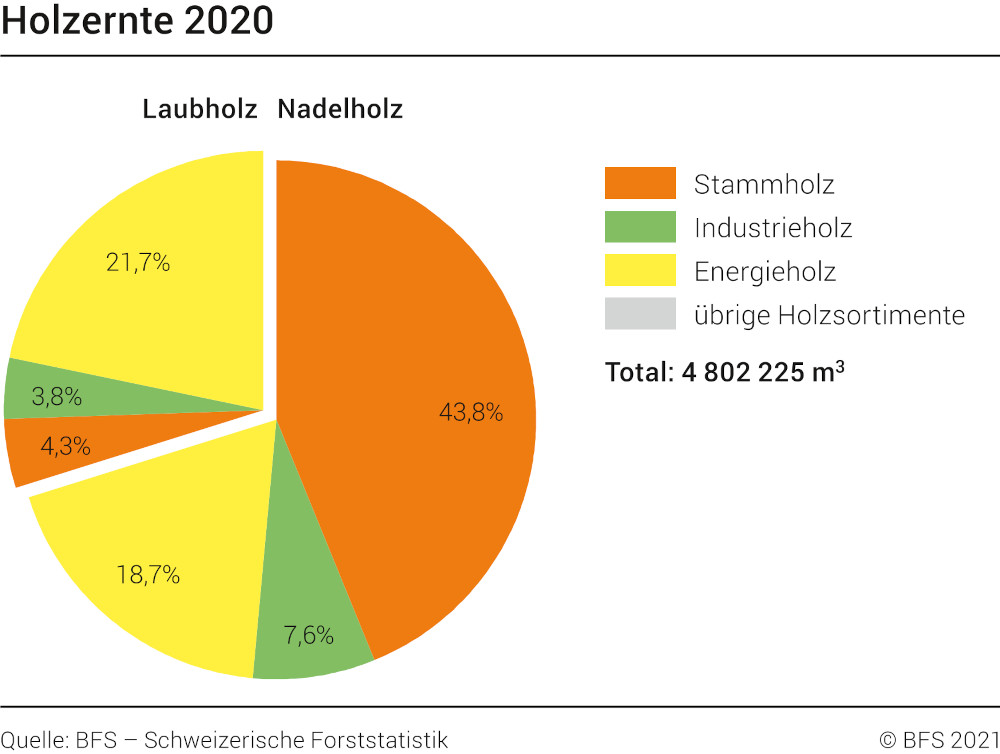 Holzernte in der Schweiz nach Sortimenten 2020
