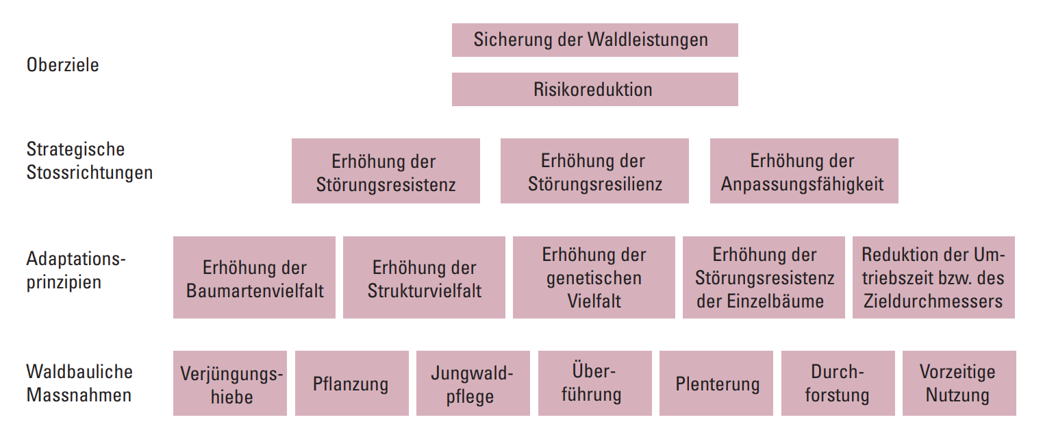 Adaptation im Wald im Klimawandel: Ziele, strategische Stossrichtungen, Adaptationsprinzipien und waldbauliche Massnahmen (Abbildung 5.1.1.)