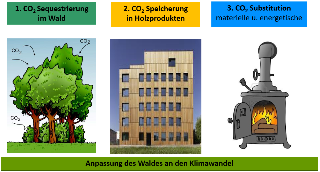 3-S-Wirkungen_CO2