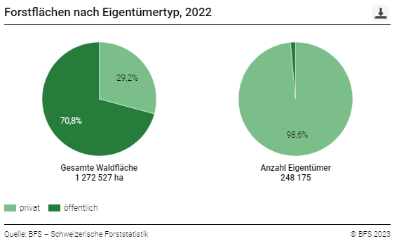 Forstflächen nach Eigentümertyp 2022