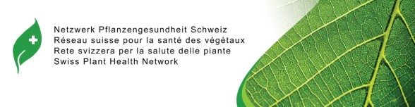 BLW Netzwerk Pflanzengesundheit 