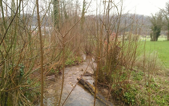 Lochgraben
