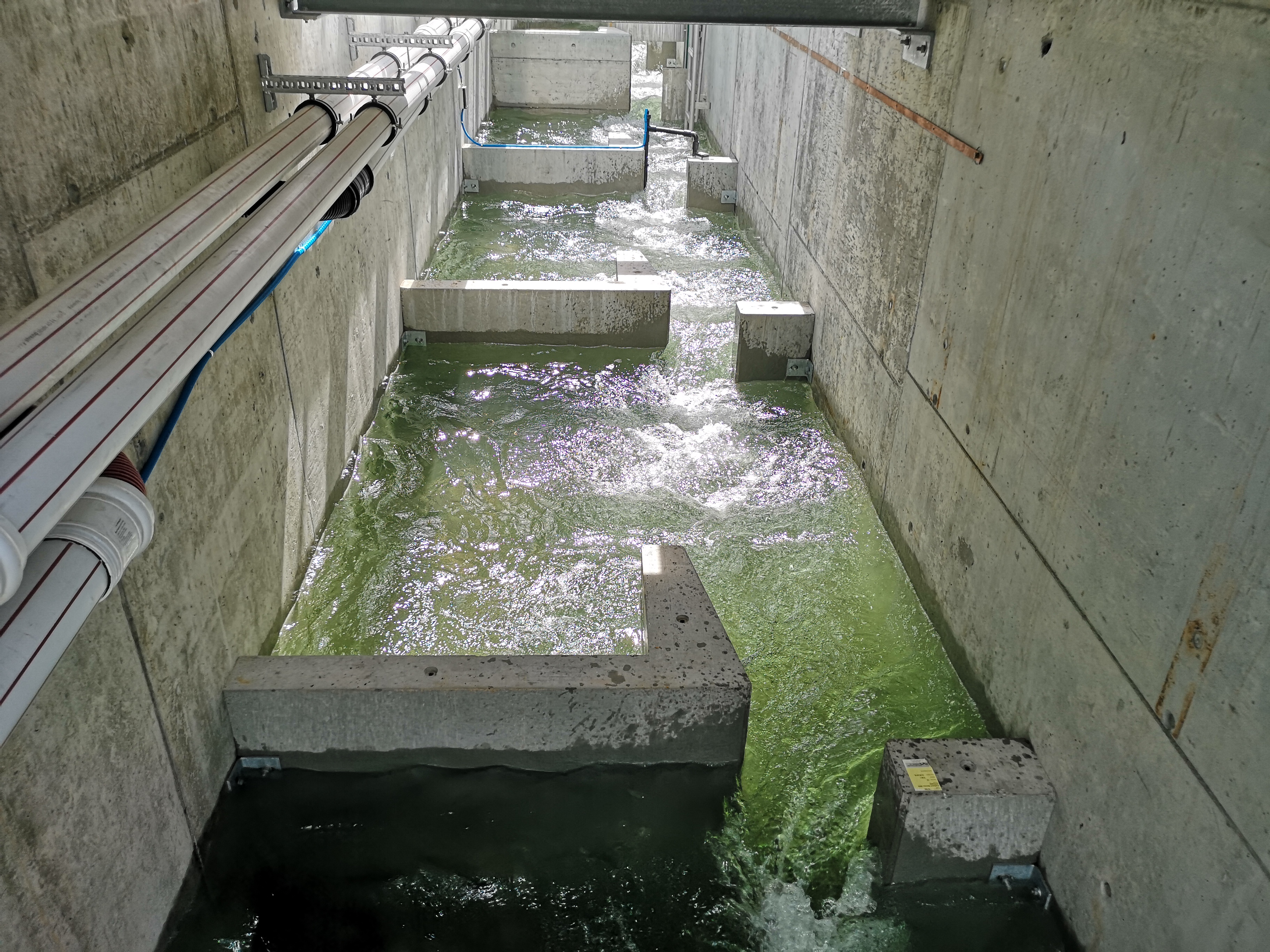 Neue Fischaufstiegshilfe am Kraftwerk Beznau, rechtes Ufer 