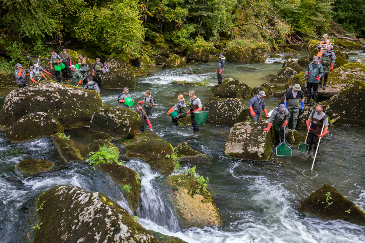 Foto Abfischungen Doubs