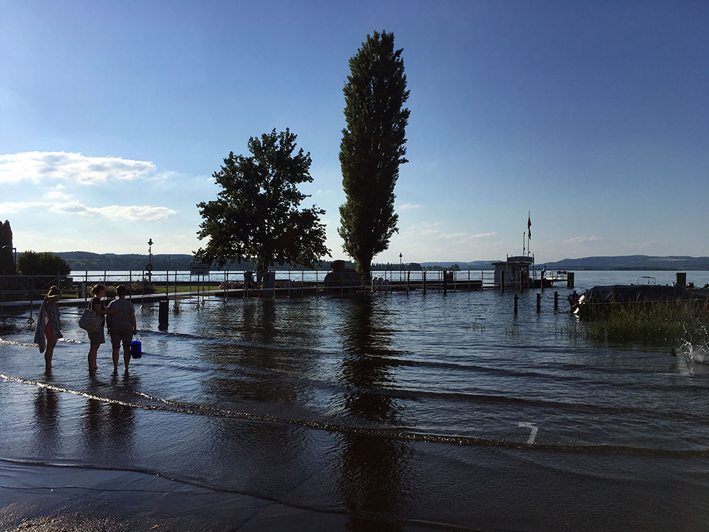 Bodensee (Untersee)-Berlingen Hochwasser Juni 2019