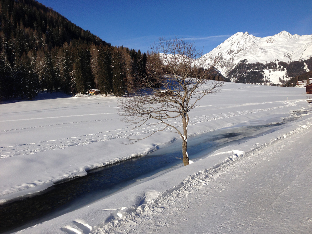 Dischmabach bei Davos