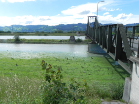 Rhein-Diepoldsau