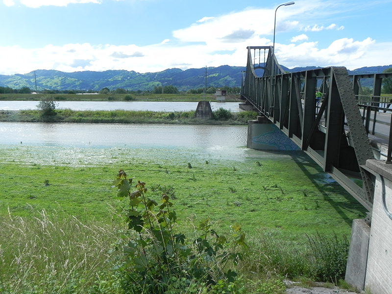 Rhein-Diepoldsau