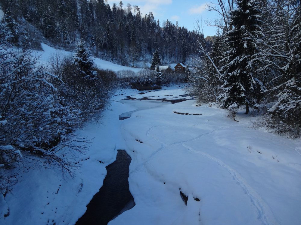 Necker bei Aachsäge