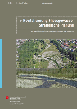 Cover Revitalisierung Fliessgewässer. Strategische Planung