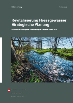 Cover Revitalisierung Fliessgewässer. Strategische Planung