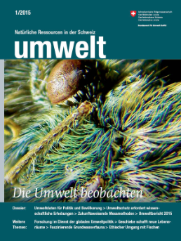 Cover Magazin Umwelt 1/2015 Die Umwelt beobachten