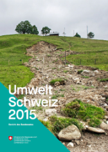 Cover Umweltbericht 2015