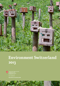 Cover Environmental report 2013