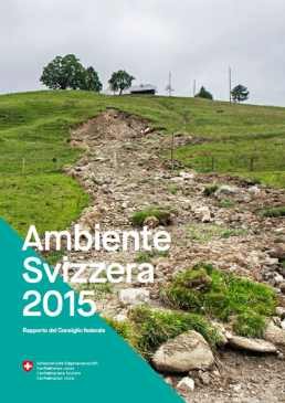 Cover Environmental report 2015
