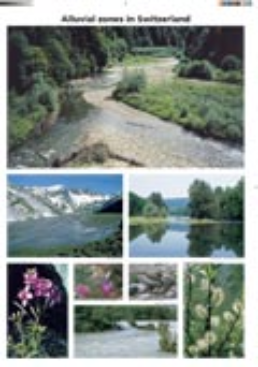 Cover Alluvial zones in Switzerland. Updated reprint 2005.
