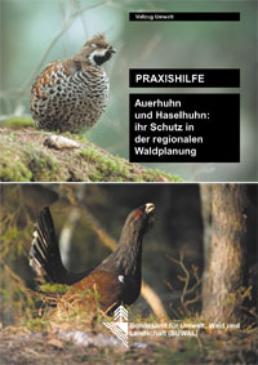 Cover Auerhuhn und Haselhuhn: ihr Schutz in der regionalen Waldplanung. Praxishilfe. 2001. 30 S.