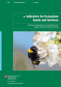 Cover Indicators for Ecosystem Goods and Services (Extended summary)