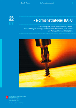 Cover Normenstrategie BAFU. Ein Beitrag zum Erhalt einer intakten Umwelt, zur nachhaltigen Nutzung von natürlichen Ressourcen, zum Schutz von Naturgefahren und Störfällen. 2007. 39 S.
