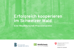 Cover Kooperationen in der Schweizer Waldwirtschaft