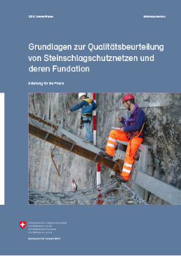 Grundlagen zur Qualitätsbeurteilung von Steinschlagschutznetzen und deren Fundation