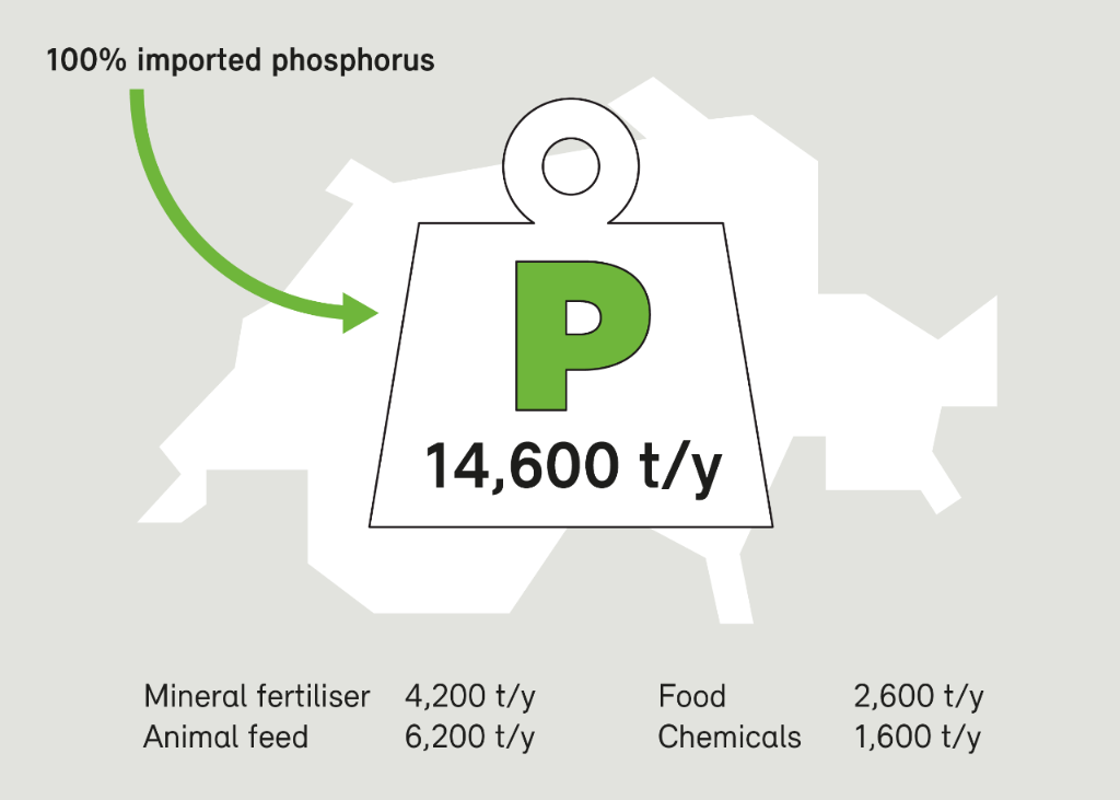 BAFU_PhosWeb_Jährliche_Phosphor-Importe_der_Schweiz_en