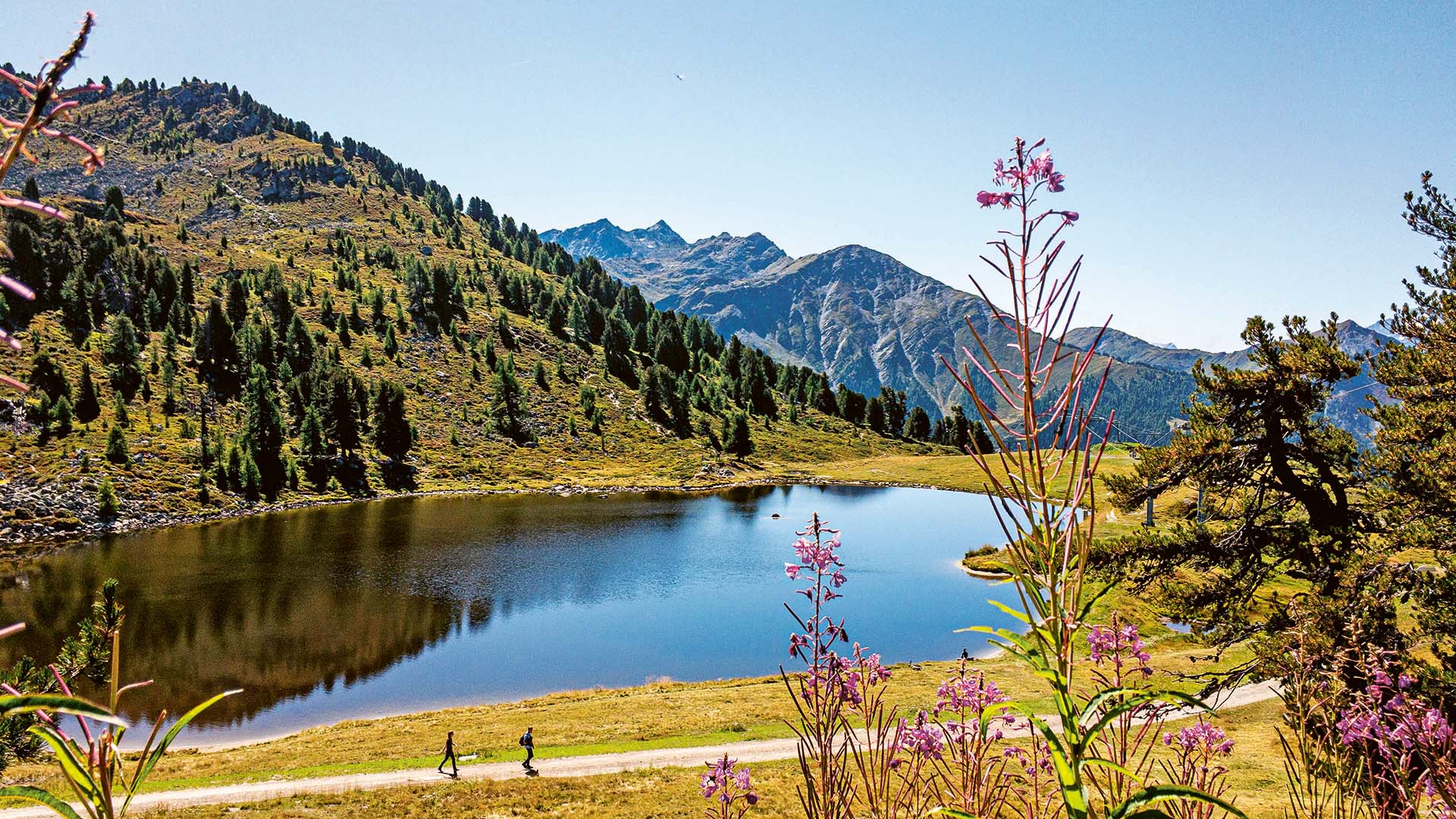 Selterner Artenreichtum am Lac Noir 
