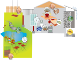 Illustration biocides