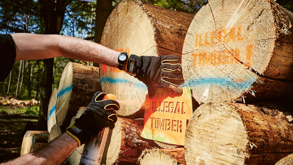 Aktivisten markieren Holz im polnischen Białowieża-Urwald