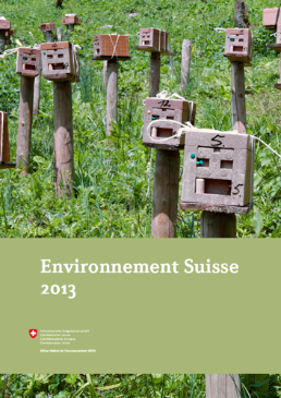 Cover Rapport sur l'environnement 2013