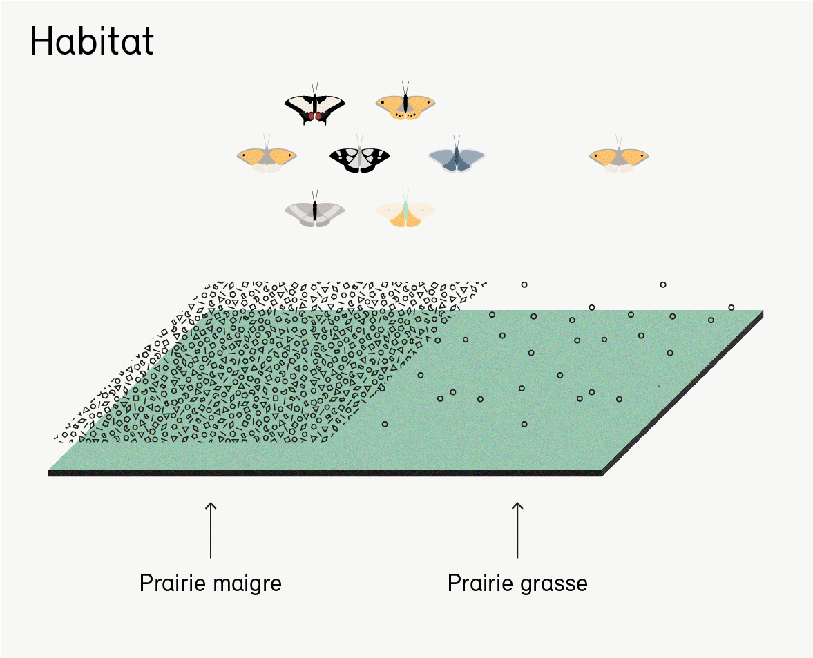 Webdossier_insekten-FR_grafik01