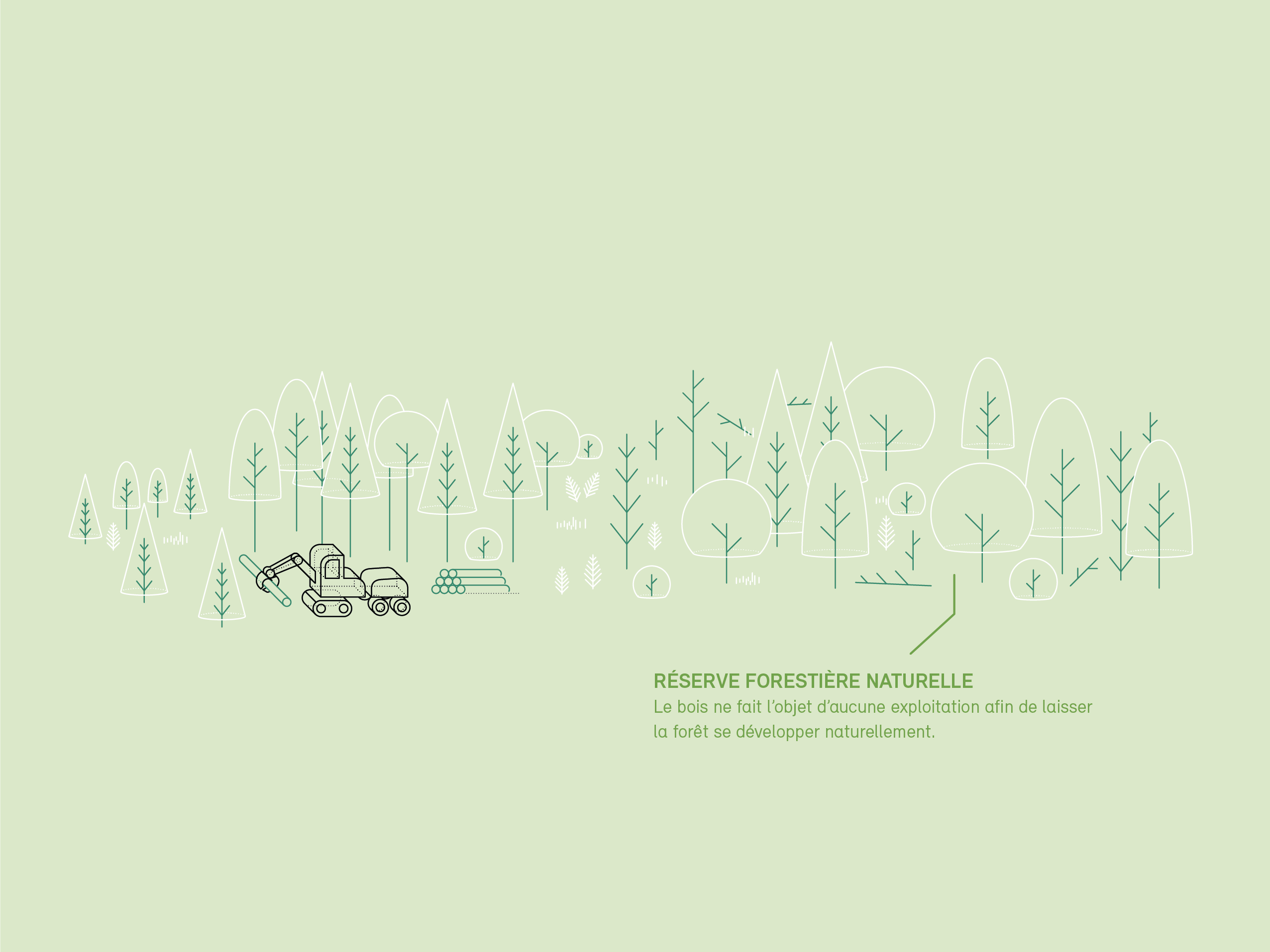 milieu-forestier-05