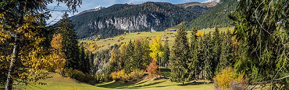 Header Werte Ökologische Infrastruktur
